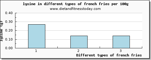 french fries lysine per 100g